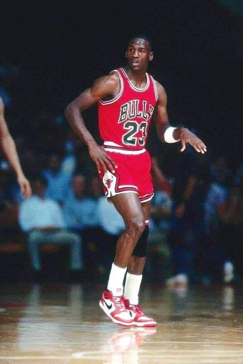 都是顶尖级 都是顶尖级