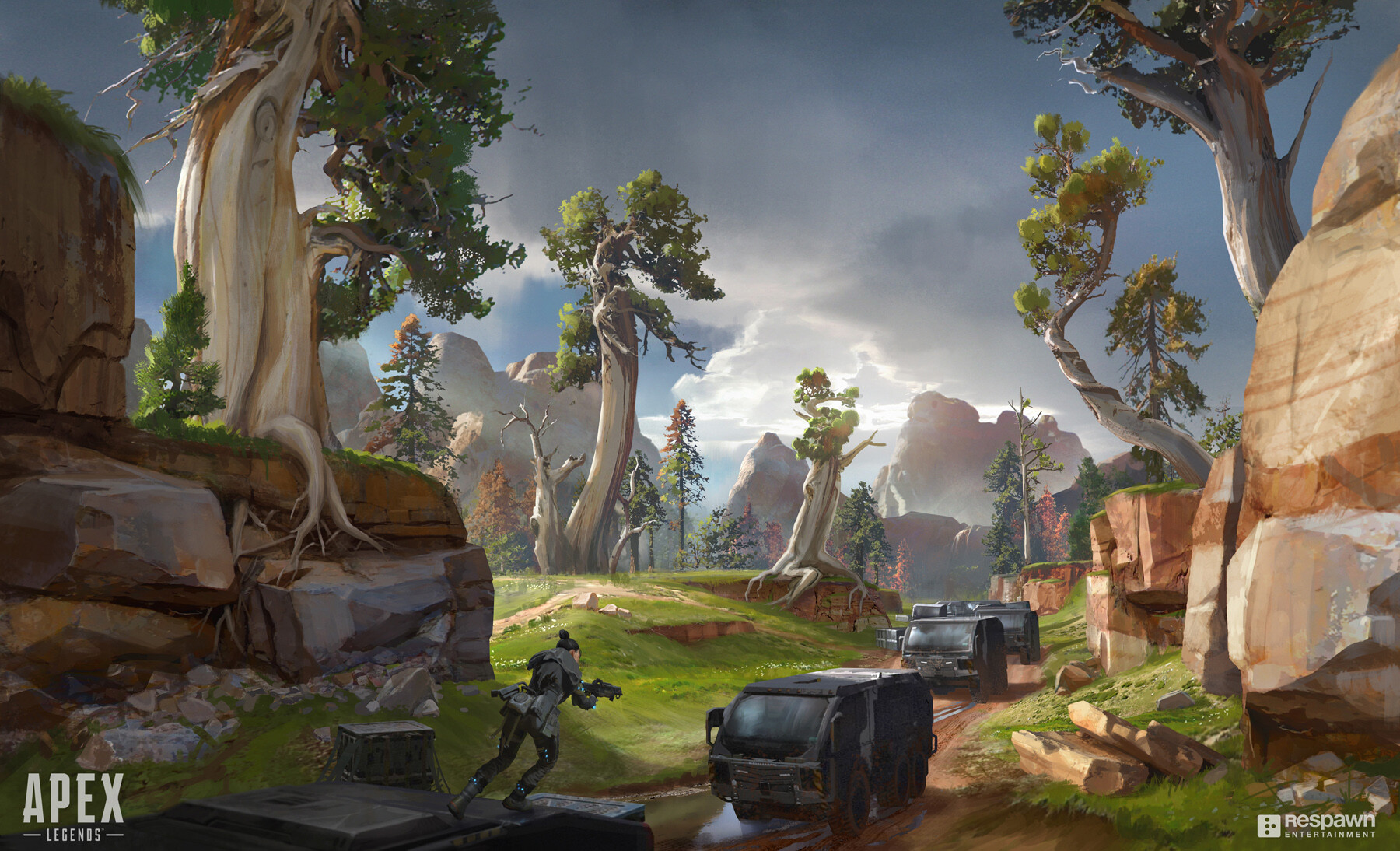 男篮美洲杯 男篮美洲杯